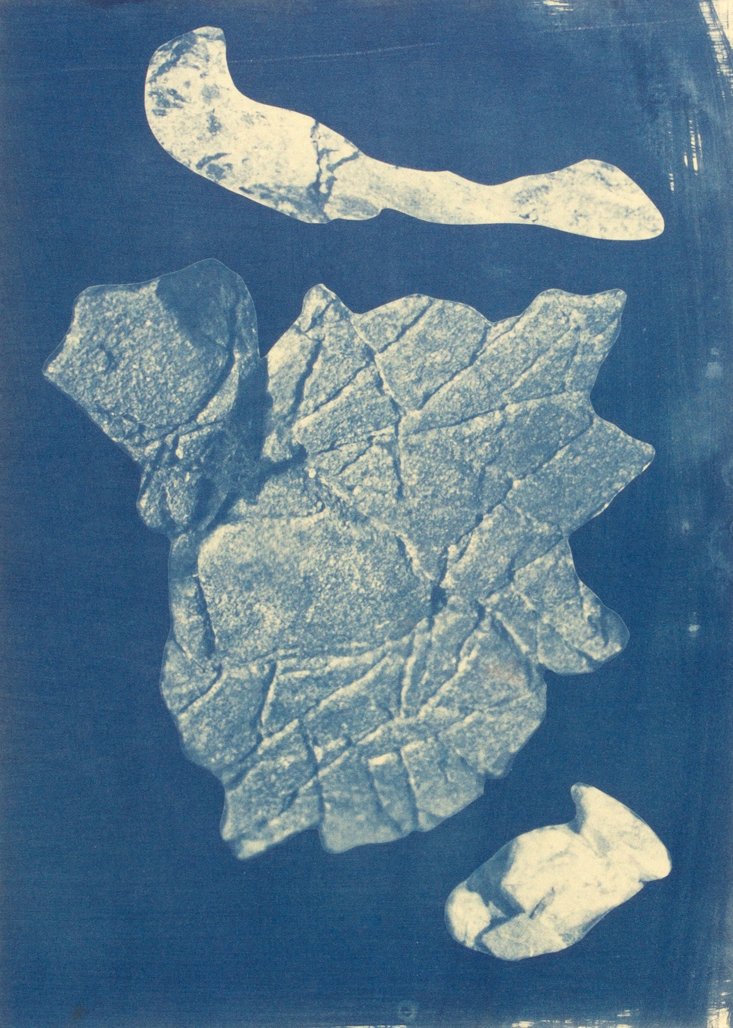 Barbariga Kroatien 2