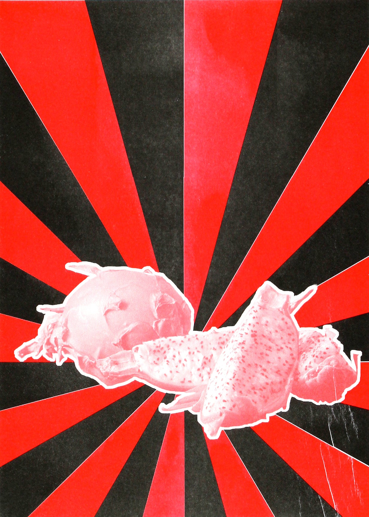 Julia Faber-Living Studio Ed. 1