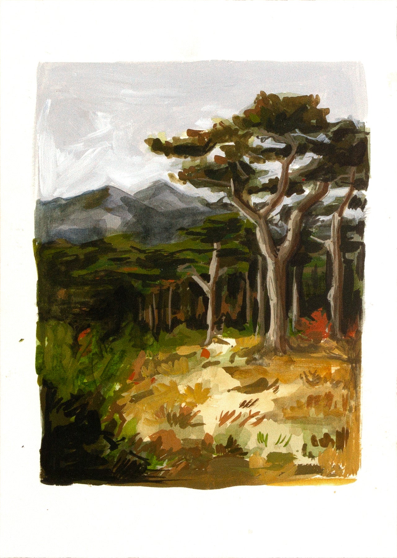 Dry Grass 1.21.5