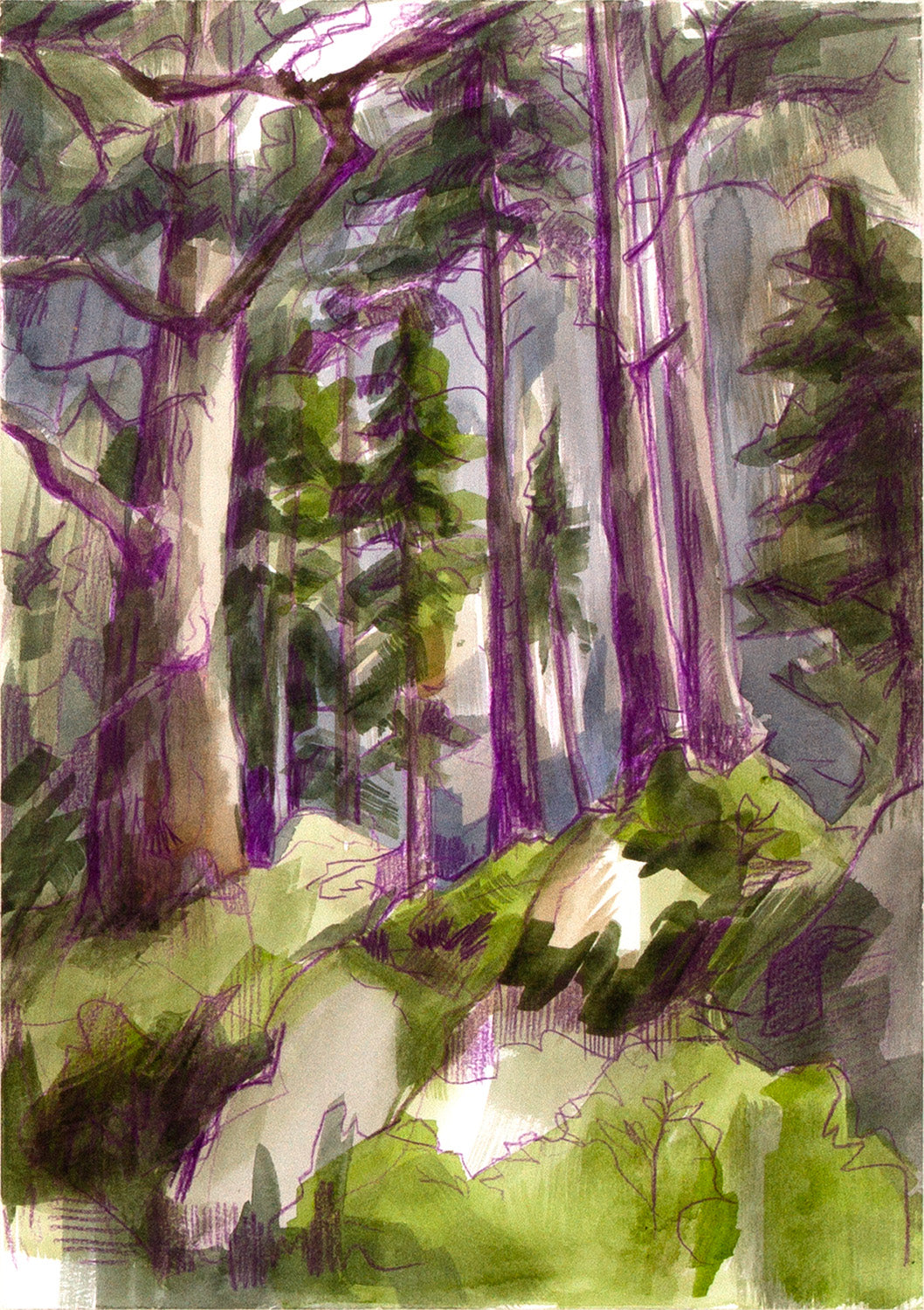 beneath the tree line