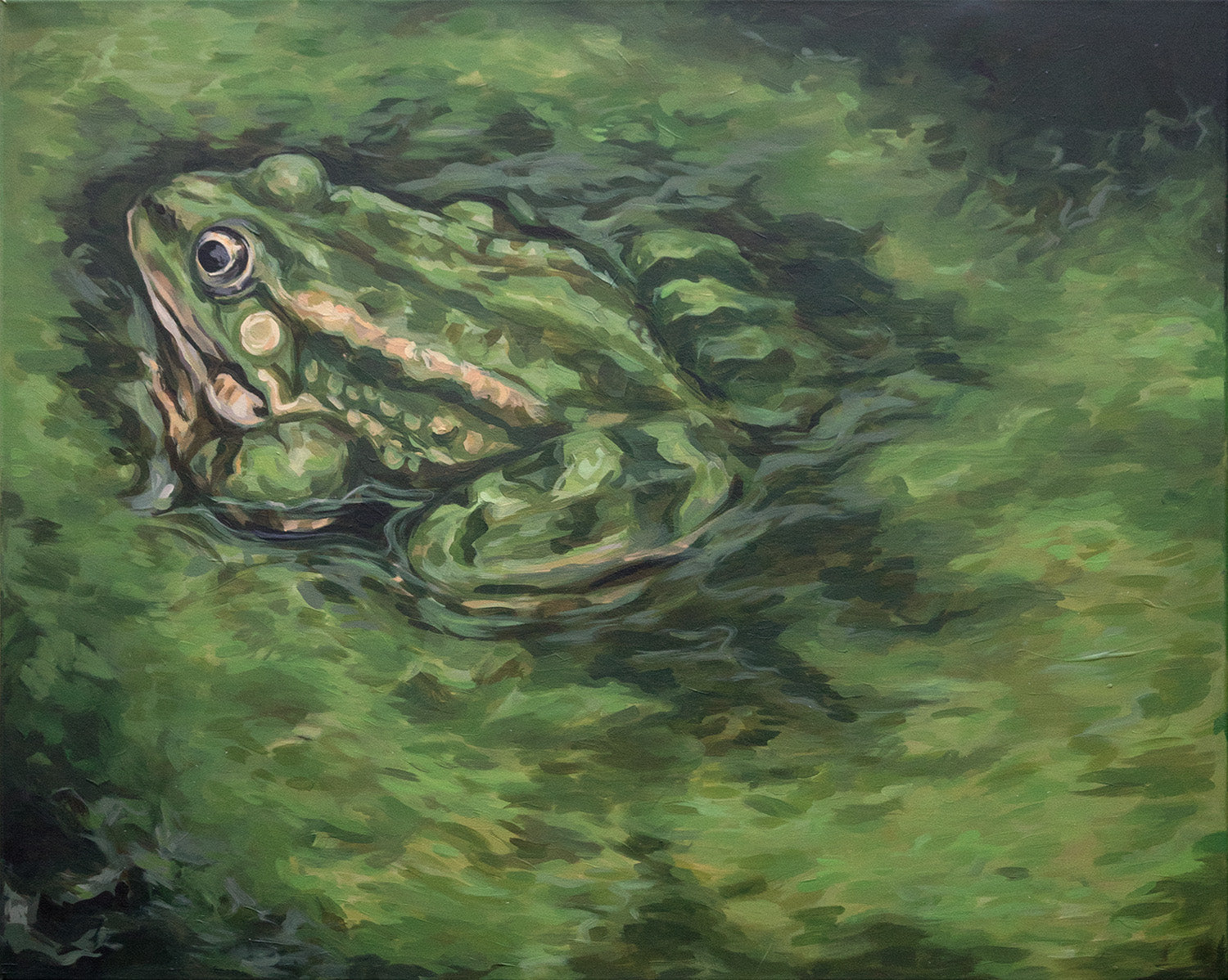Algae