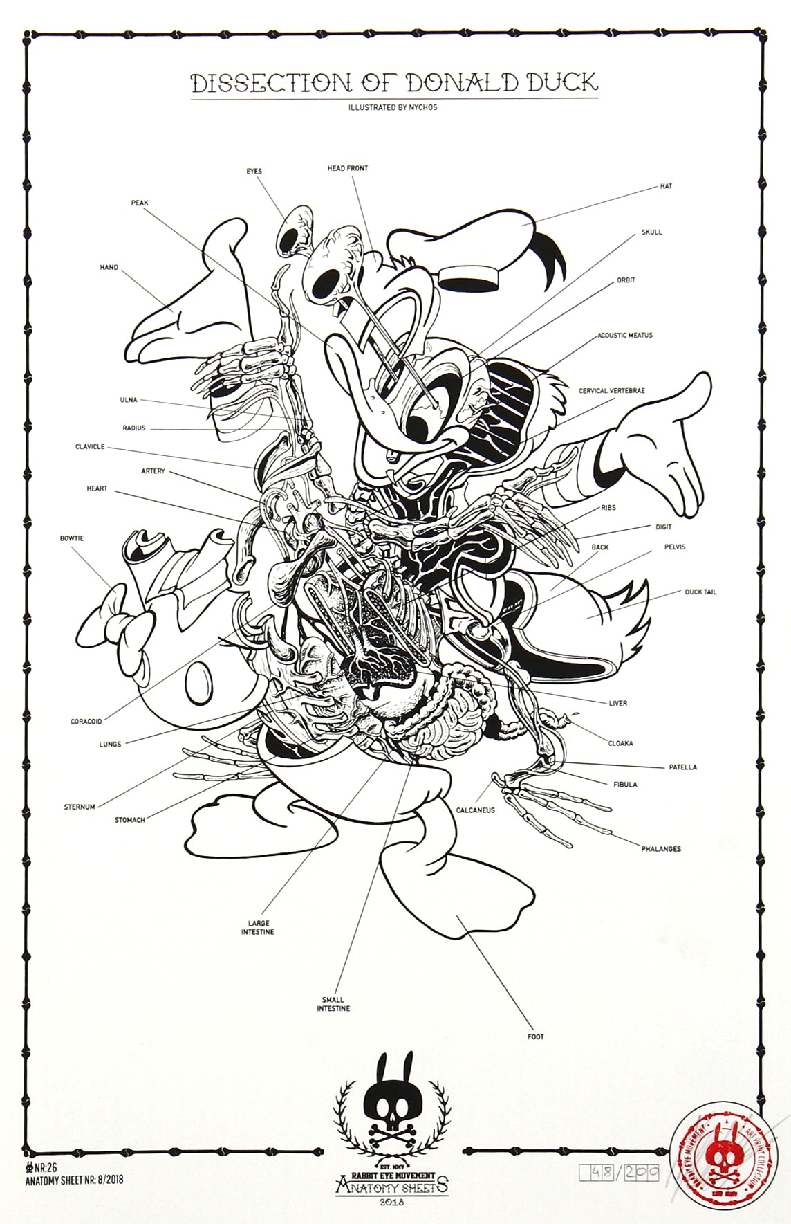 DISSECTION OF DONALD DUCK- ANATOMY SHEET NO. 26