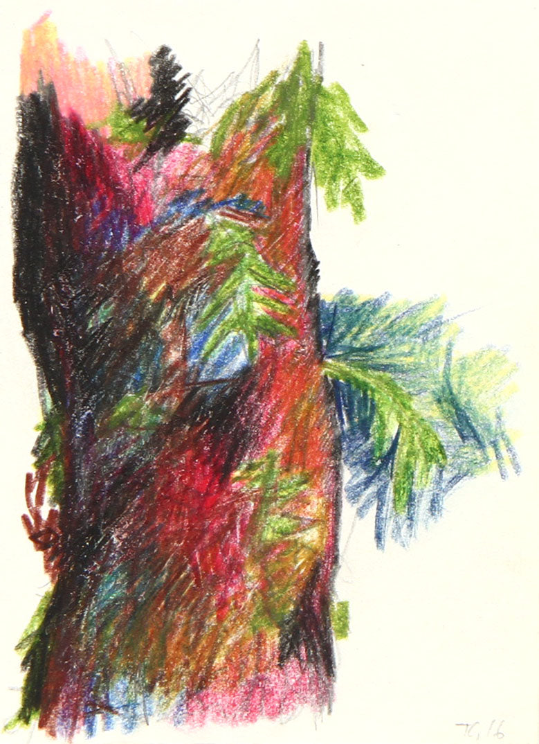 1426_Twan_Geissberger.jpg