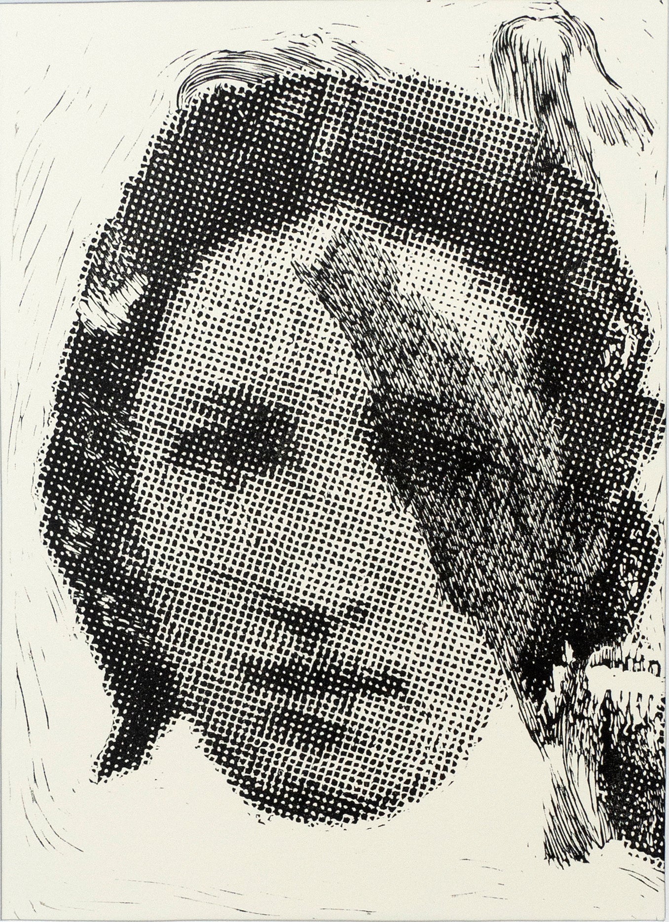 Vera