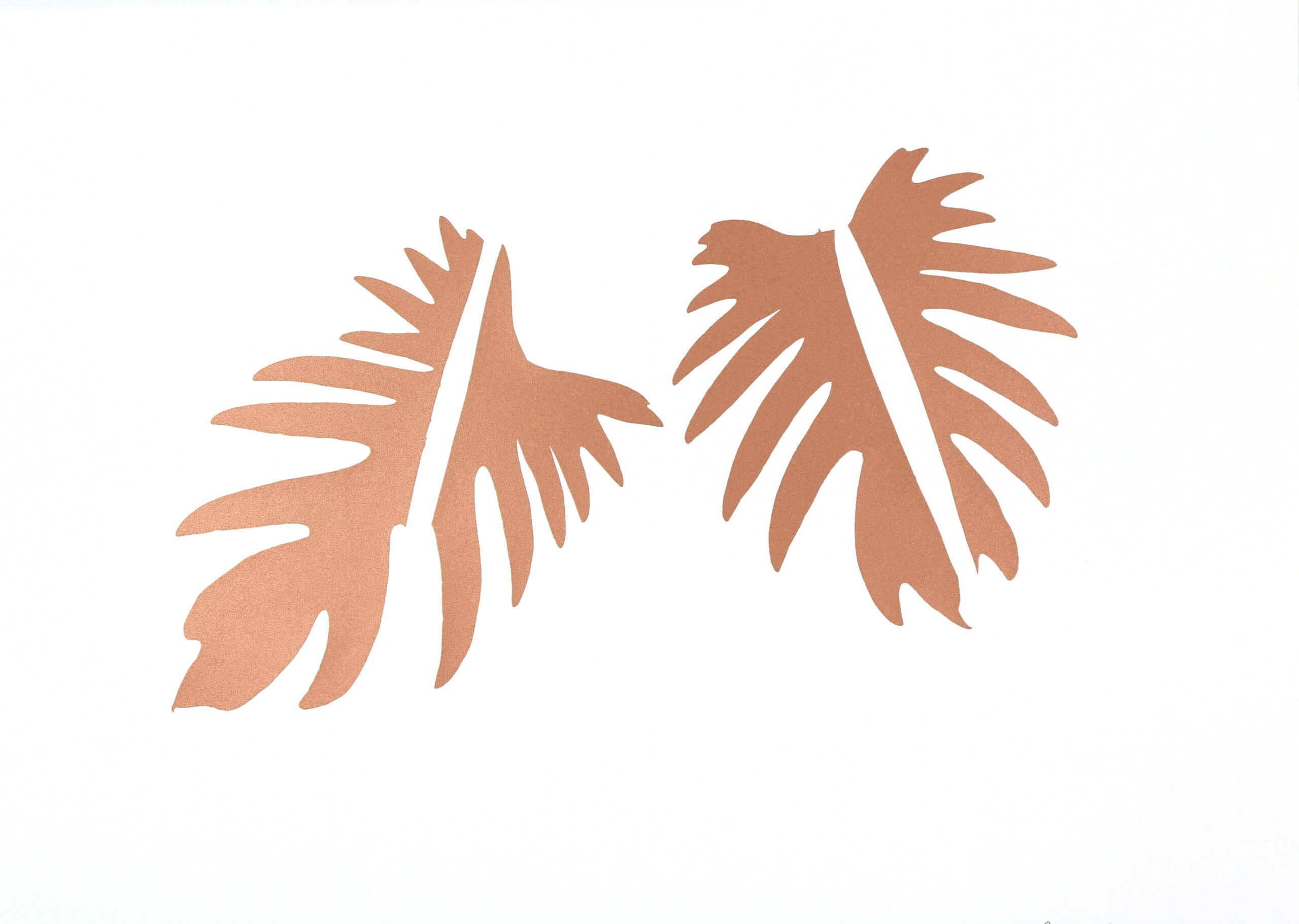 Bodnar Robert-Photogram 1/2