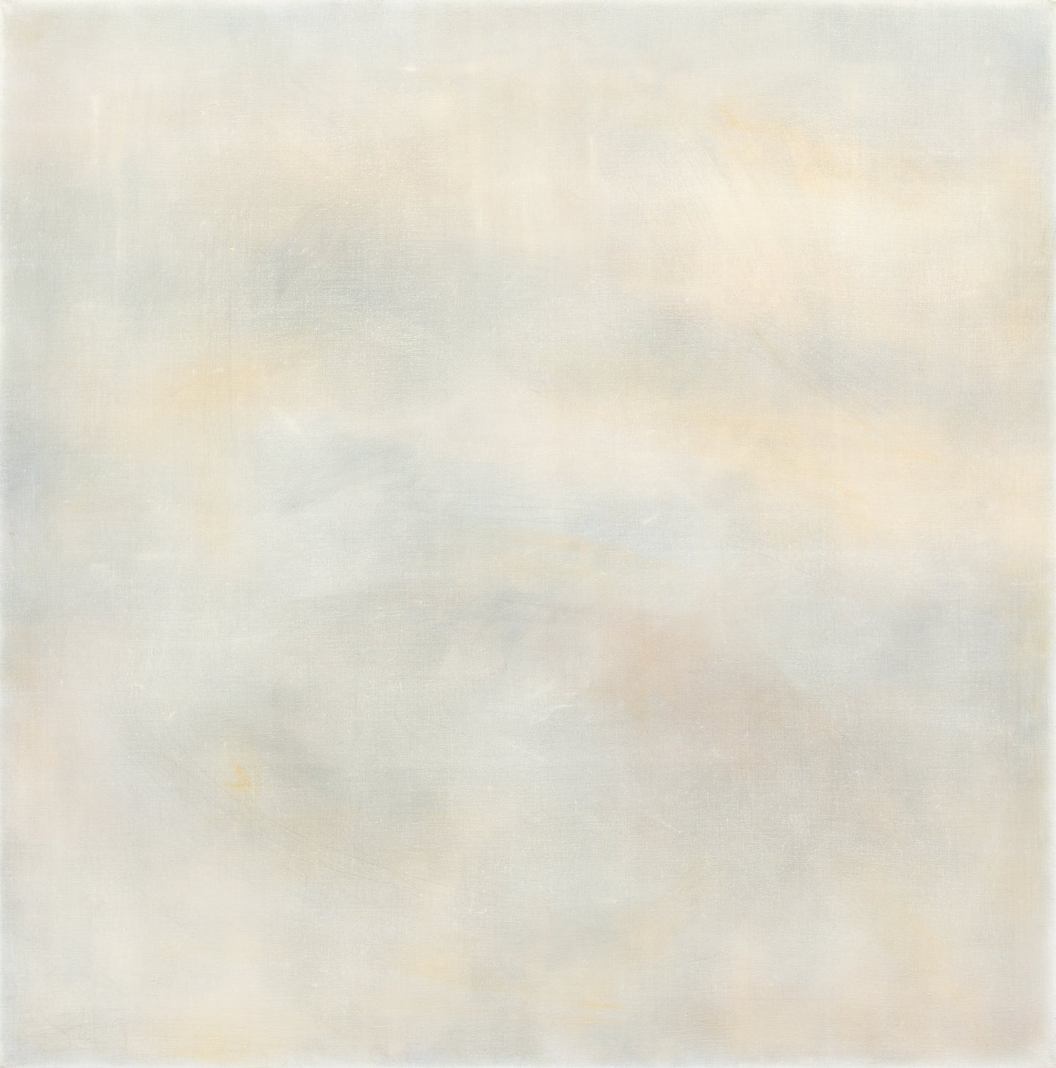 7851.jpg