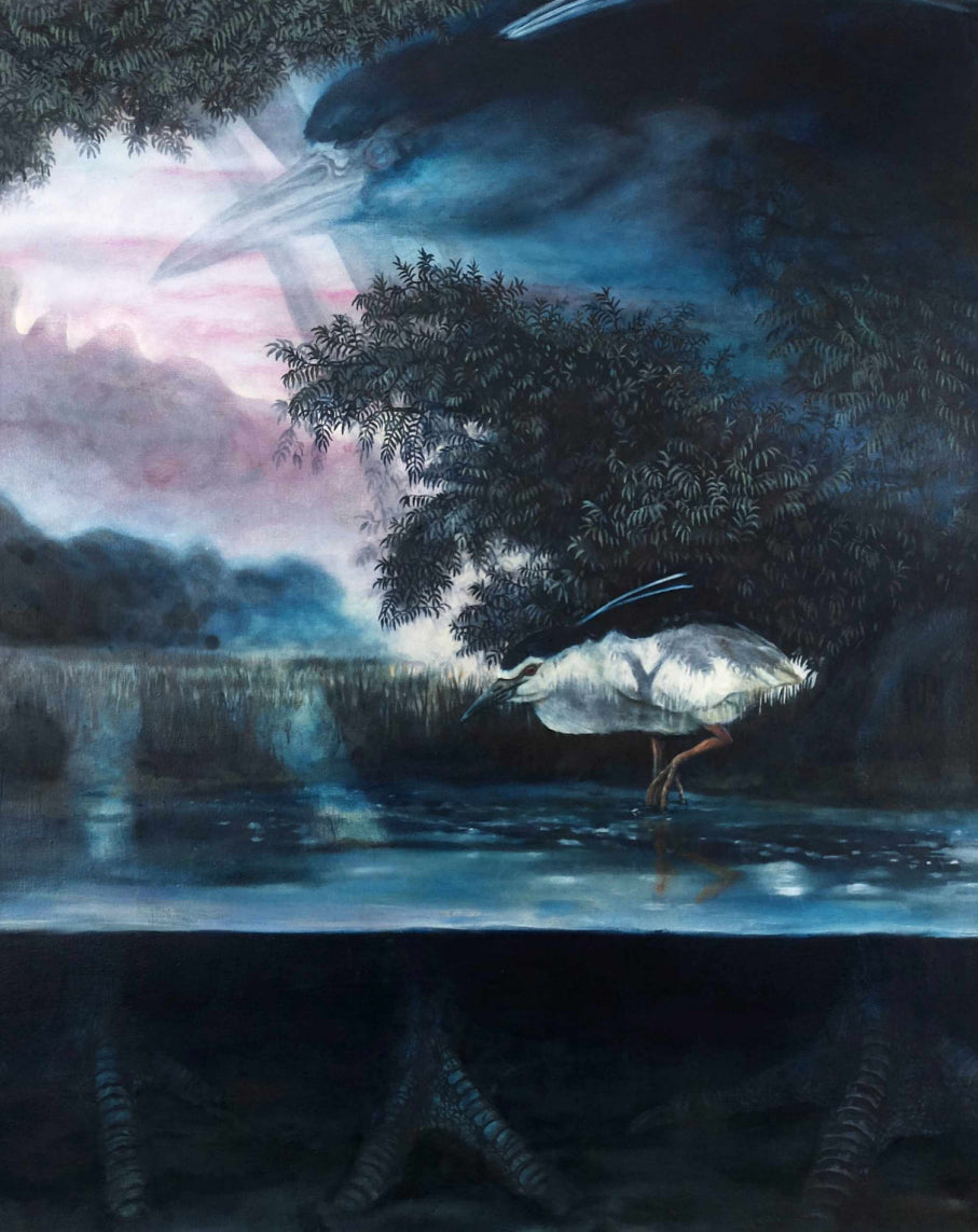 Nachtreiher-Nyctycorax