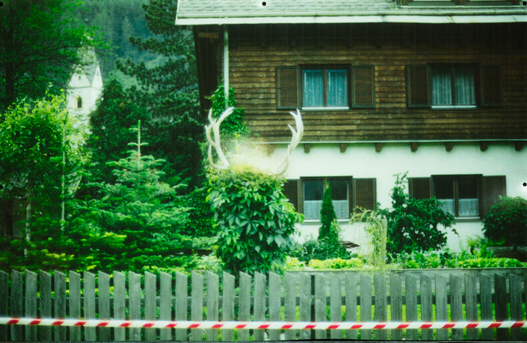 1400_Softic_Mila.jpg