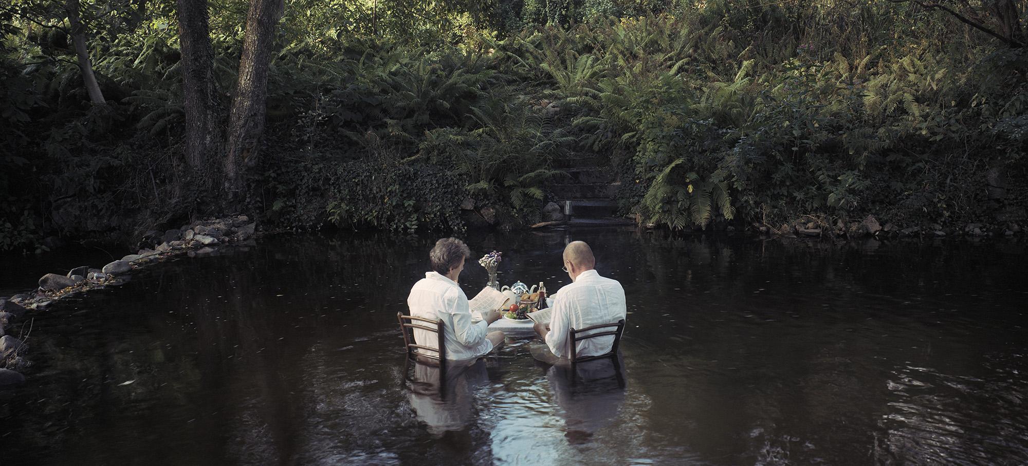 Breakfast with ferns