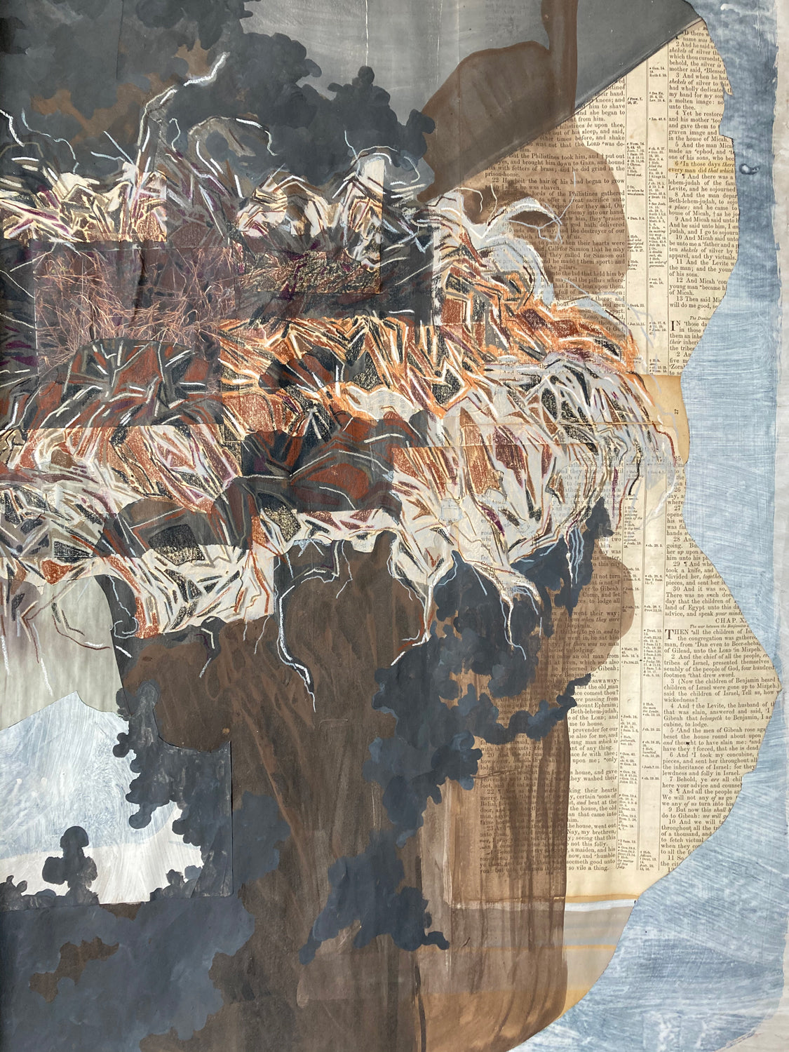 Bird's Nest at End of the World