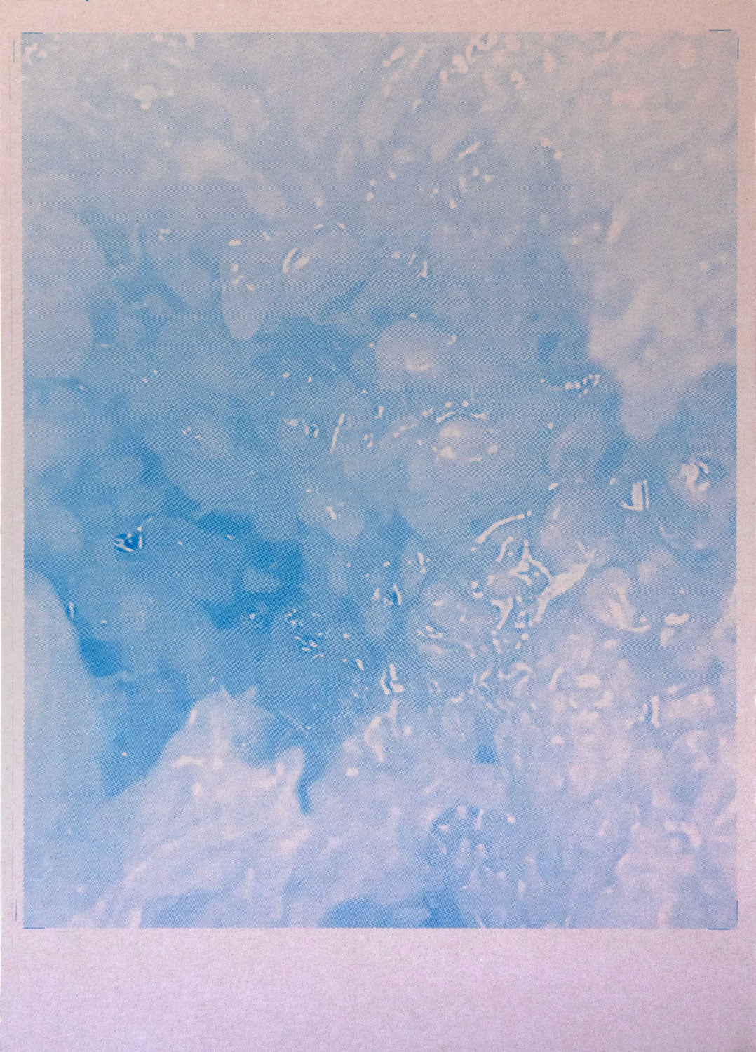 Plazenta Cyan