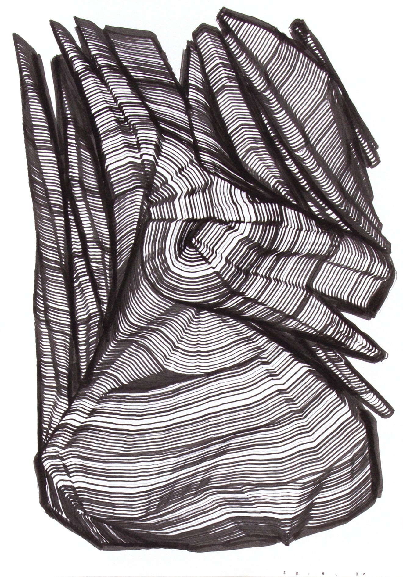 3155.jpg