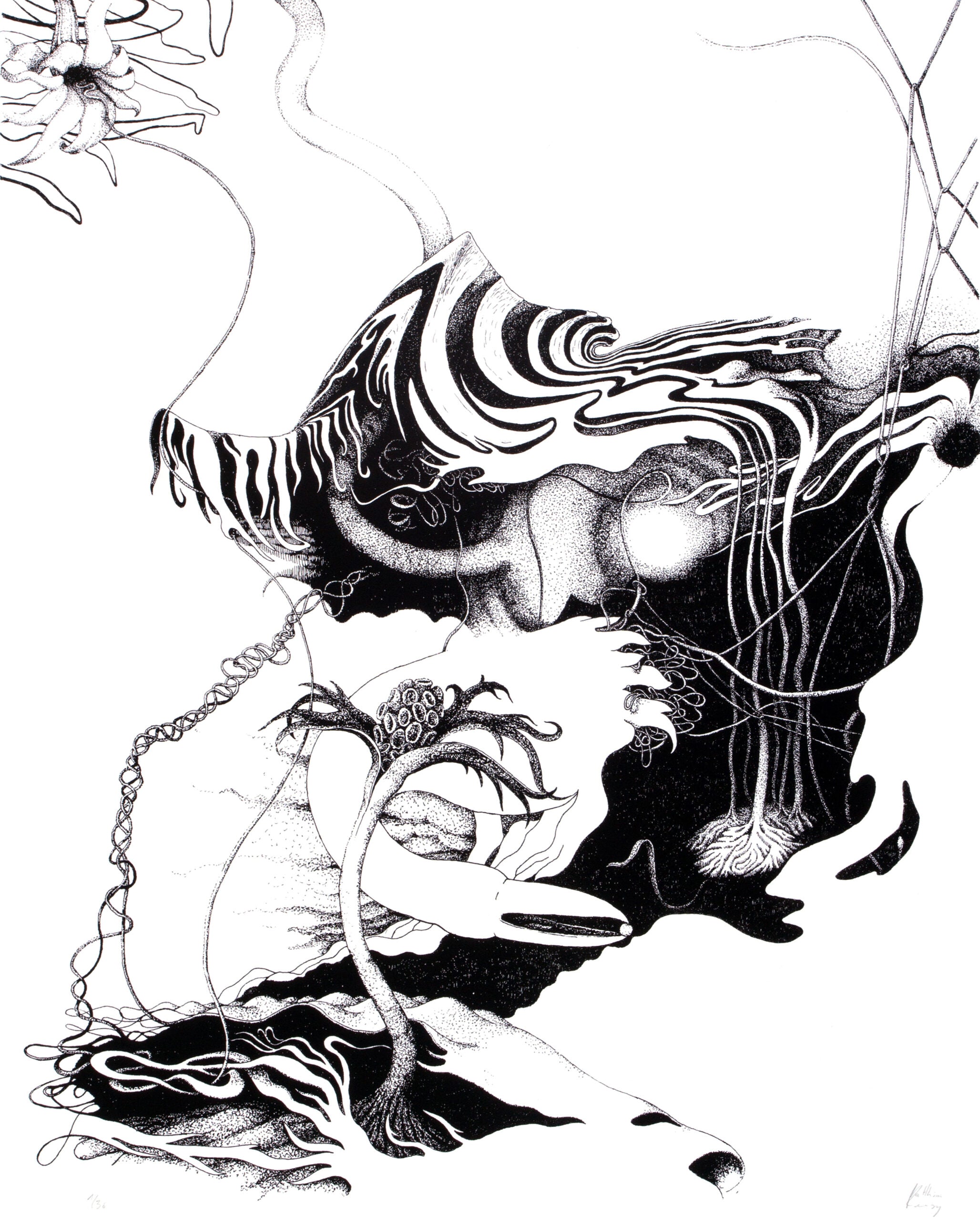 A tangled Bank