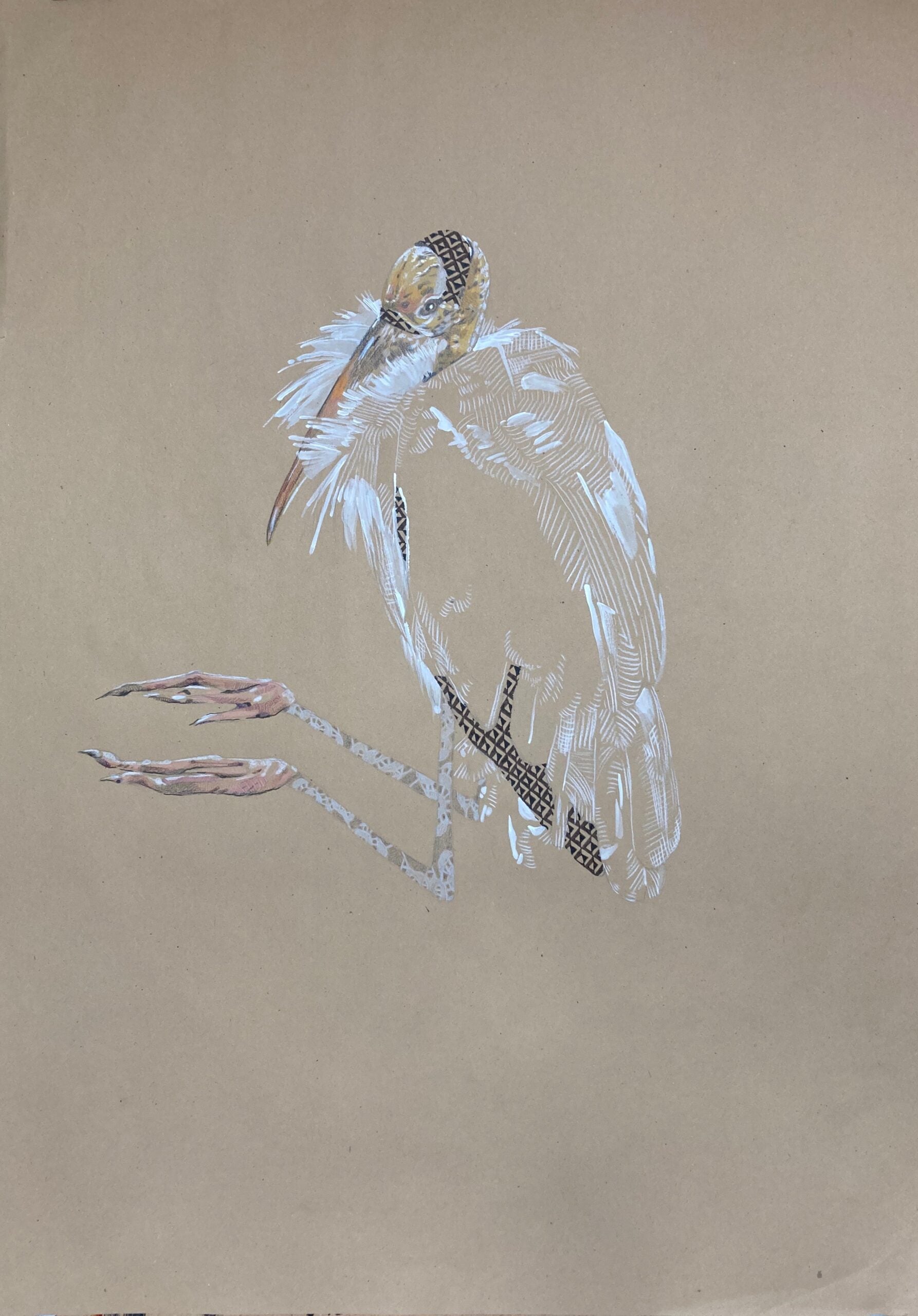 Minimal Bird