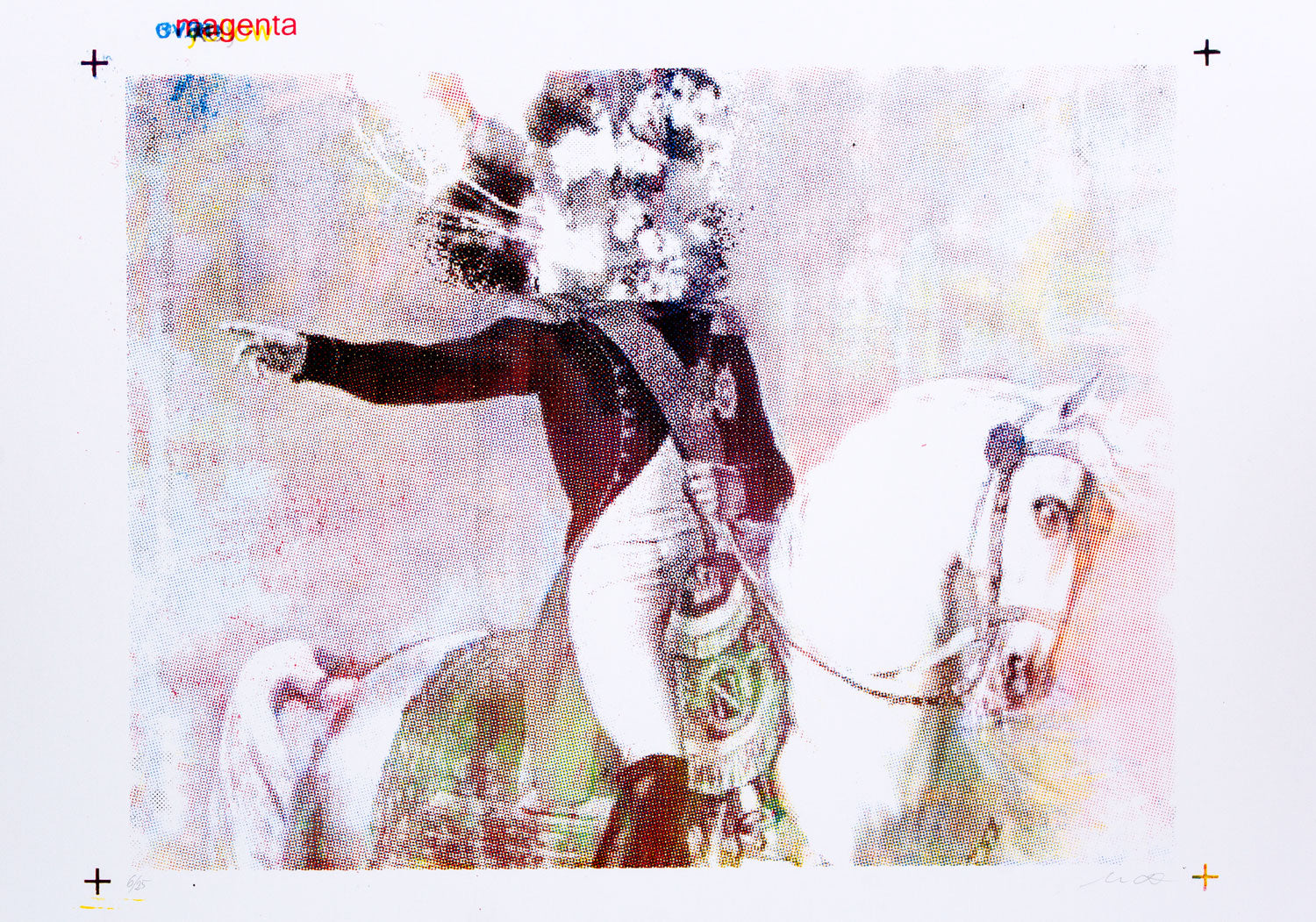 Napoleon blown apart