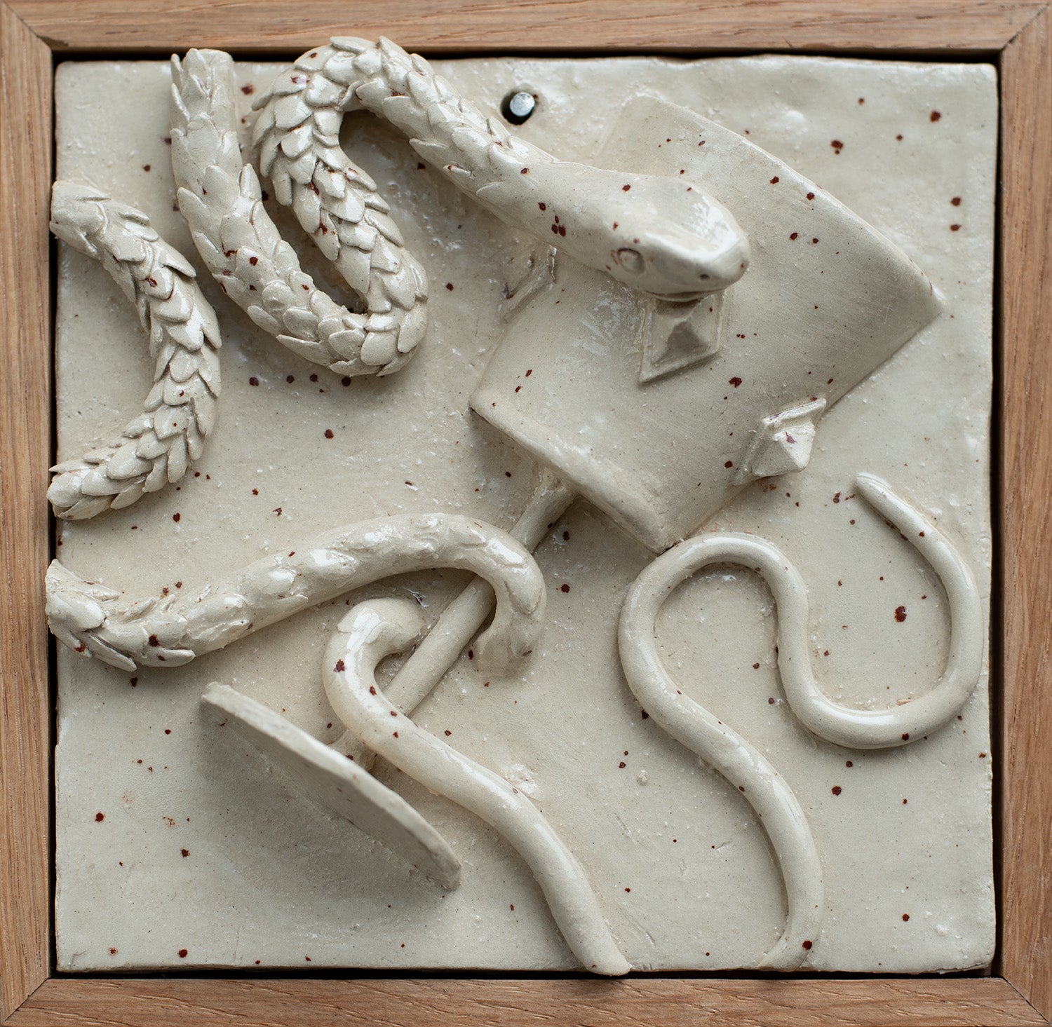 A Snake and a Cup