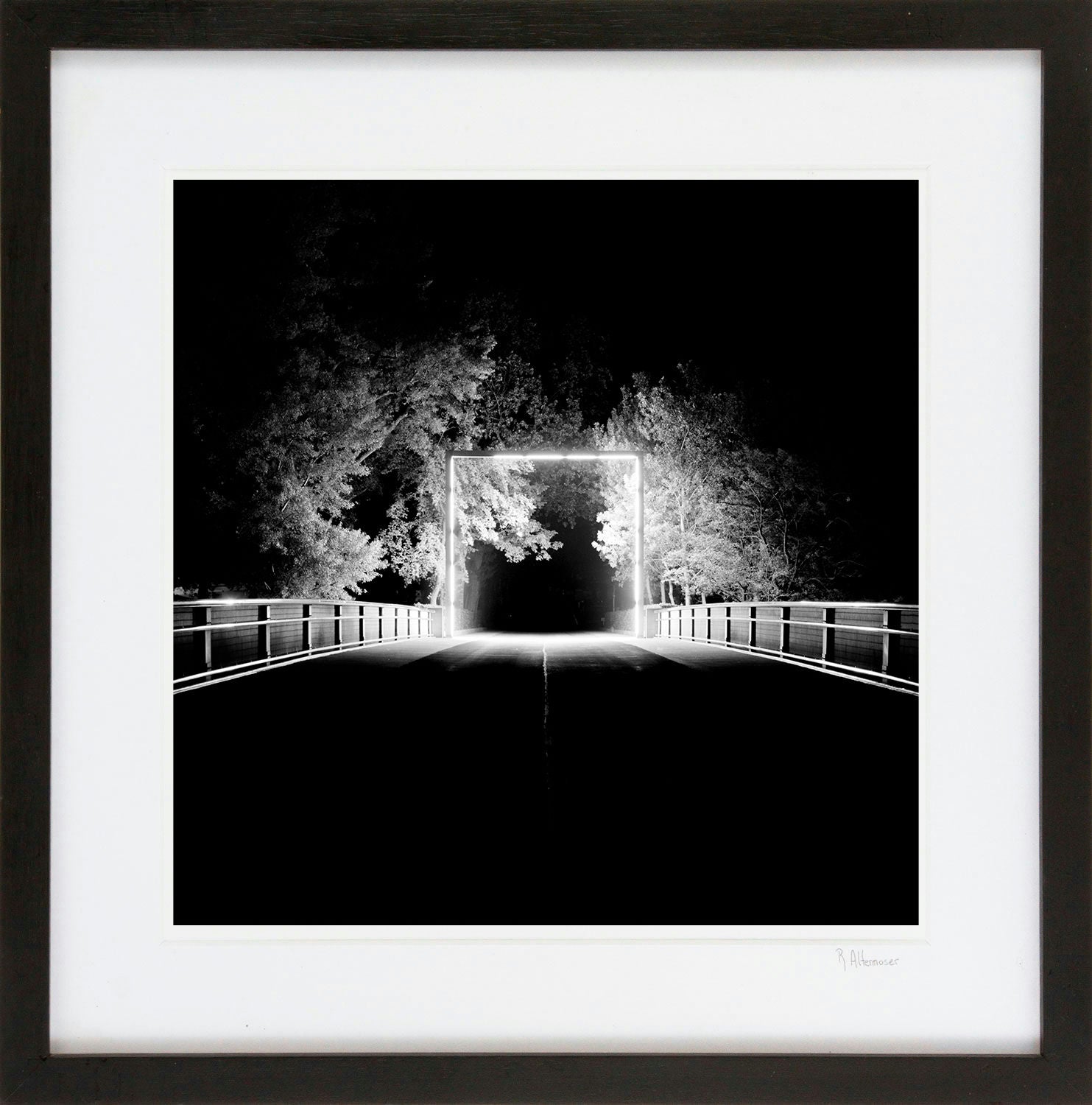 Searching for Light - Portal