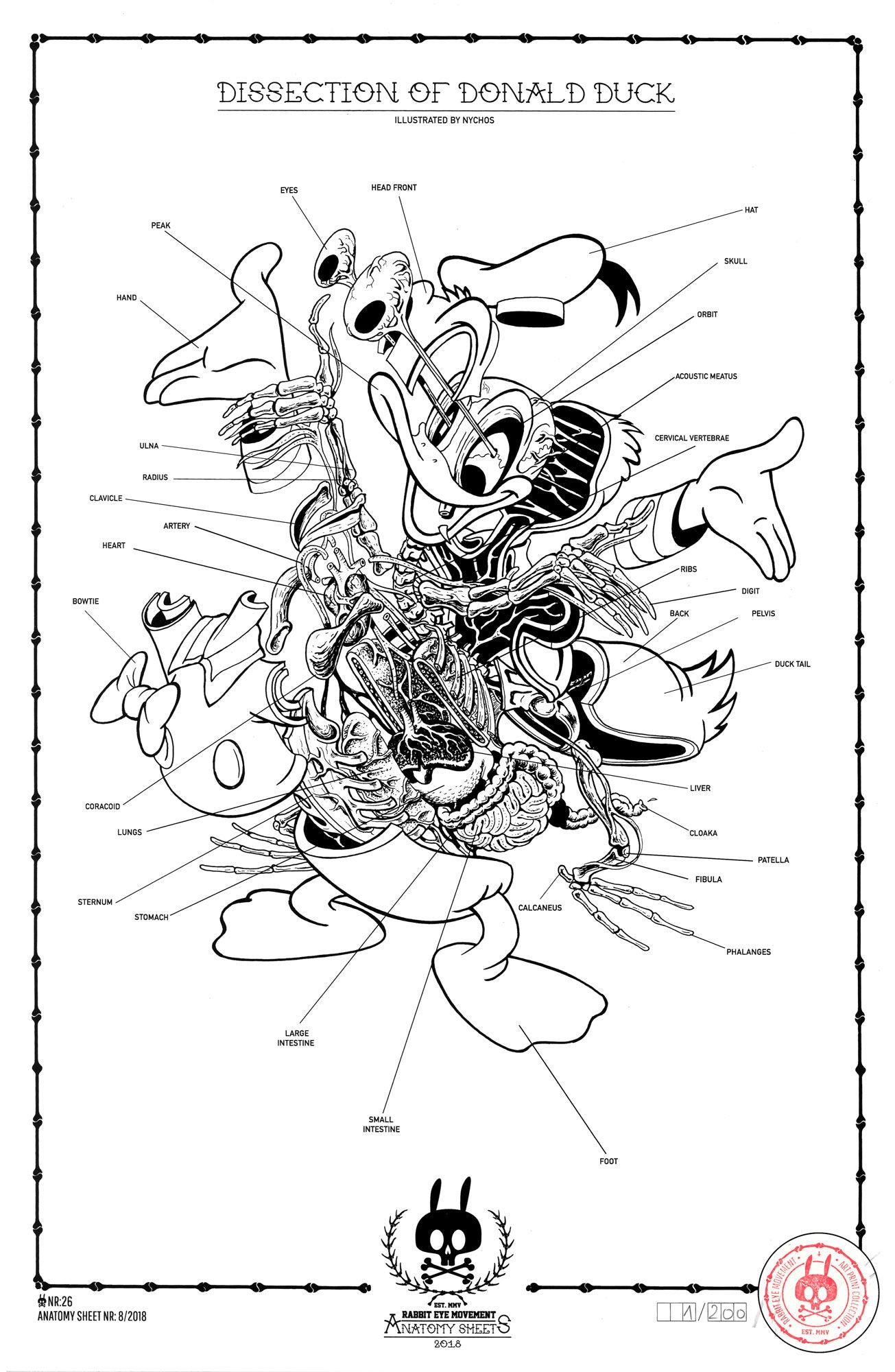 DISSECTION OF DONALD DUCK - ANATOMY SHEET NO. 26