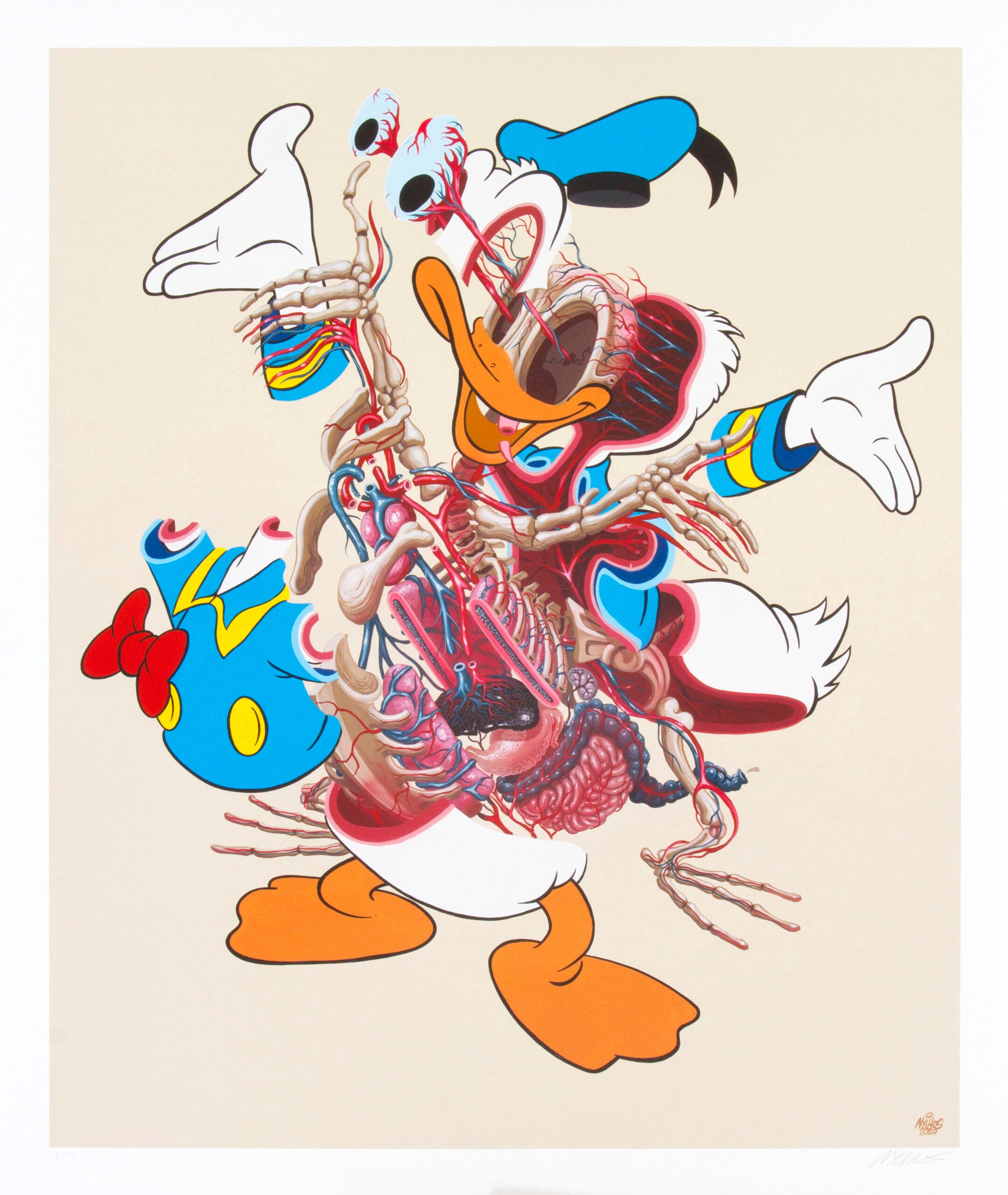 Dissection of Donald Duck