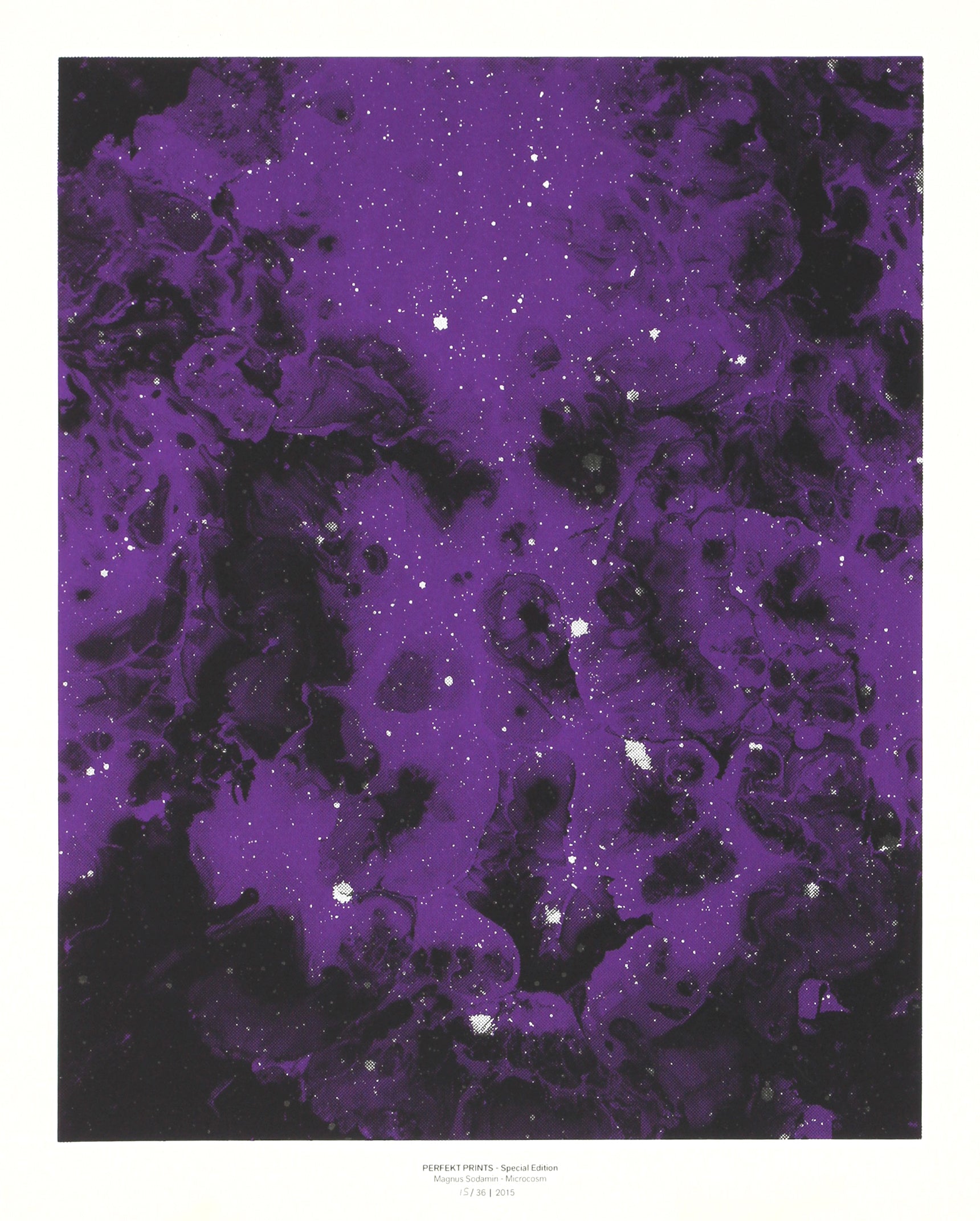 Magnus Sodamin - Microcosm